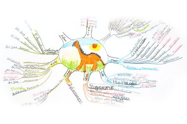 Mindmapping - Learn like the brain