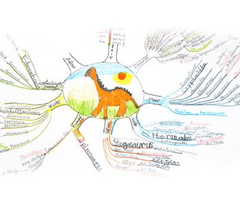 Mindmapping - Learn like the brain