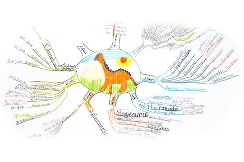 Mindmap of a nine-year-old with the dinosaur types, with painted dinosaur in the middle and the dinosaur types as branched branches