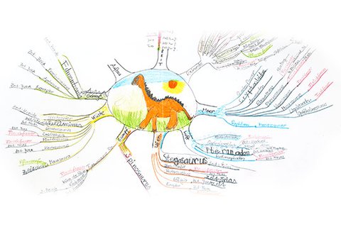 Mindmap of a nine-year-old with the dinosaur types, with painted dinosaur in the middle and the dinosaur types as branched branches